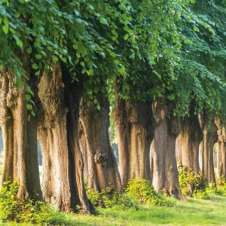 Mit Eigener Terrasse In * Wismar