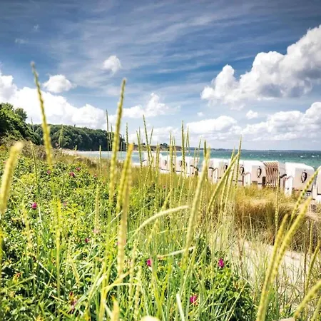 Mit Eigener Terrasse In