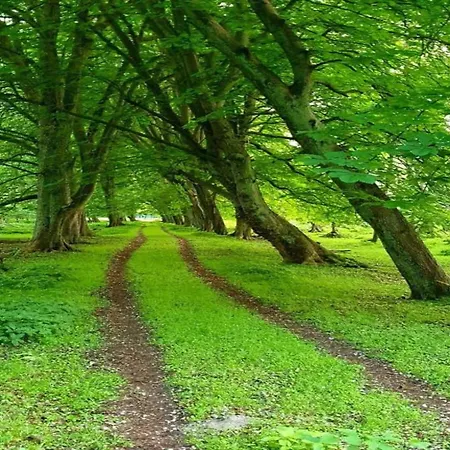 Apartment Mit Eigener Terrasse In