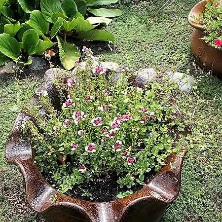 Mit Eigener Terrasse In *