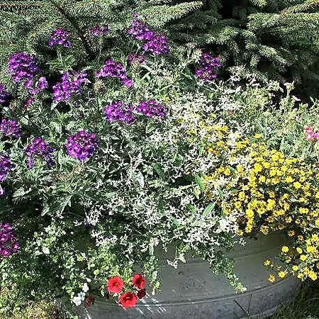 Mit Eigener Terrasse In * Wißmar