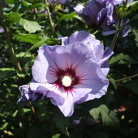 Mit Eigener Terrasse In Wismar