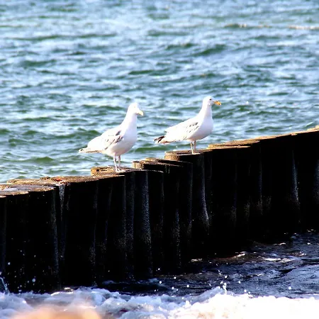 Mit Eigener Terrasse In Apartment Wismar