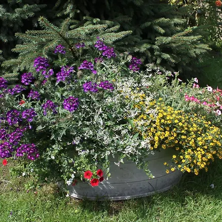 Mit Eigener Terrasse In * Wismar