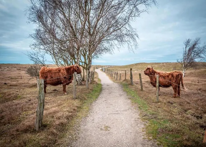 Apartment Mit Eigener Terrasse In