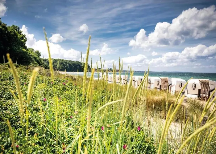 Mit Eigener Terrasse In