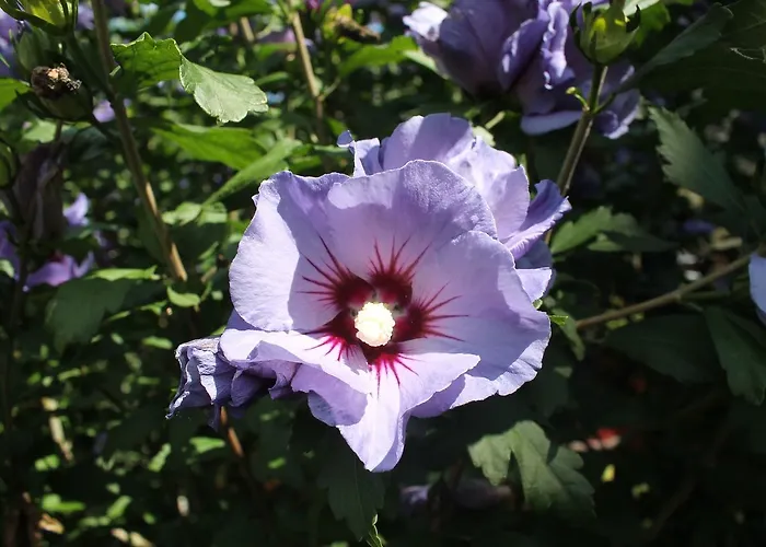 Mit Eigener Terrasse In Wißmar